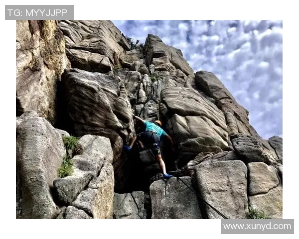 南京攀岩队的节奏分析与表现反思：攀岩运动的得与失